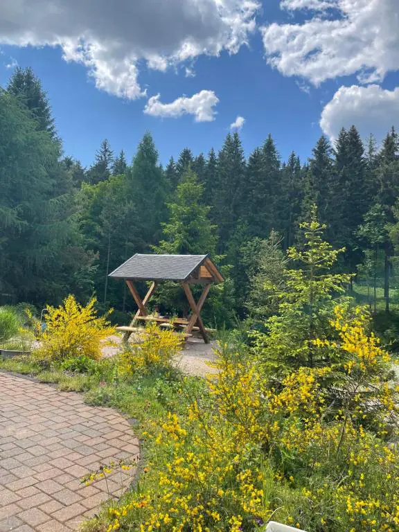 Blick Terasse Richtung Klingerbach